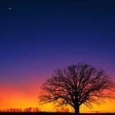 北矿科技是资源股吗,600980北矿科技股吧600868