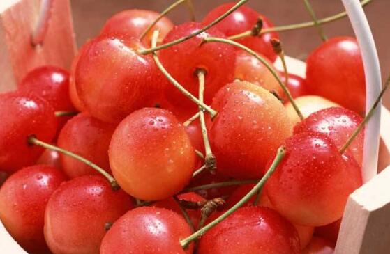 新鲜樱桃怎么保存,新鲜的樱桃怎么保存的时间更长
