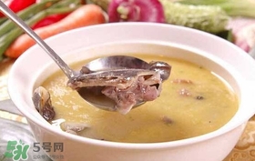 野生甲鱼和人工甲鱼区别图,西安野生的甲鱼和家养甲鱼的区别