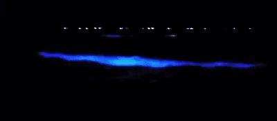 秦皇岛最新招生公告,秦皇岛市高中招生名额公告