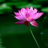 三维通信吧股票股吧,三维通信股吧最新消息