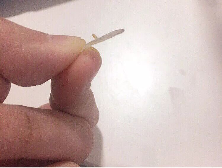 OMG！均价只要30元！这23款屈臣氏好物，明星都爱用