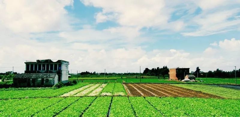 台州新机场最新选址,台州新机场航站楼何时启用