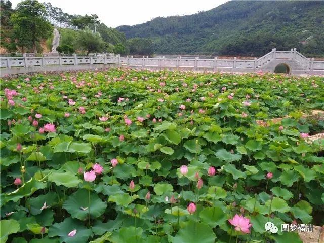 福清夏日游玩推荐,福清夏天玩水的好地方