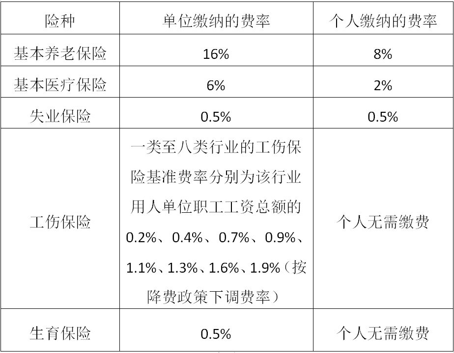 广西职工保险新政策,2020年社会保险费缴费新政策