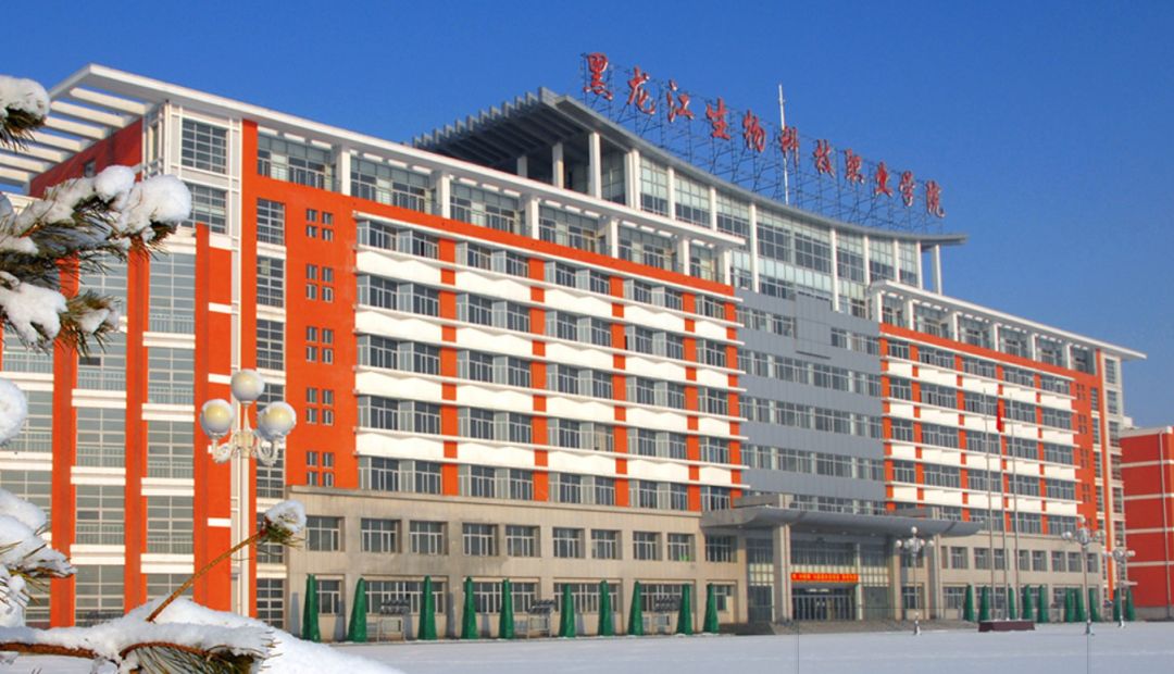 黑龙江省十大院校,黑龙江省十大高职院校排名