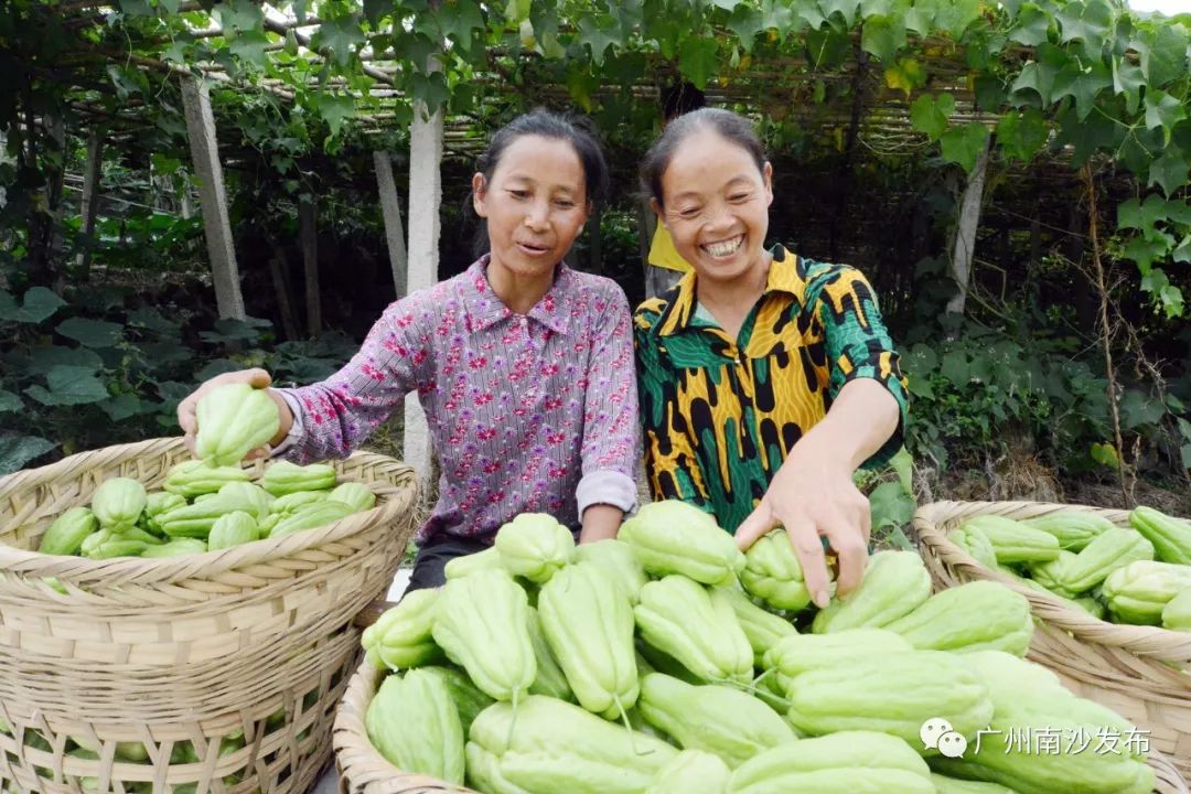 榛斿崡鑴辫传鏀诲潥涔℃潙鎸叴,鑱氱劍榛斿崡鑴辫传鏀诲潥