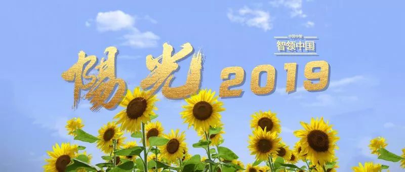 心教之,智启之,美化之!中智深圳、上海、青岛、大连培训咨询业务动态