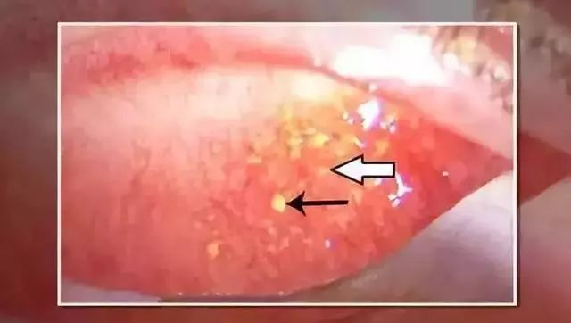 日本制造业造假是真的假的,日本质量造假事件