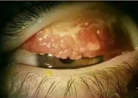 日本制造业造假是真的假的,日本质量造假事件