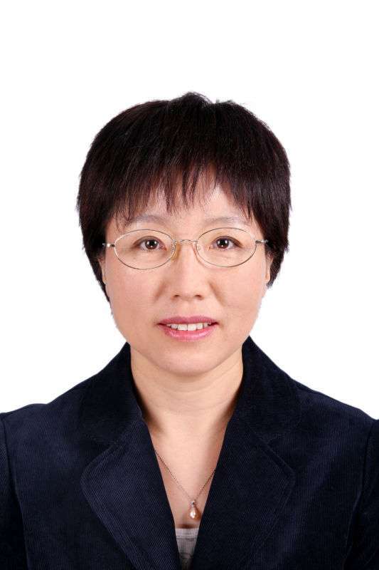 德州医药文化节,德州市文化节