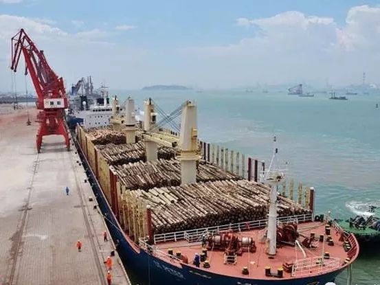 木材科普知识大全,木材海运怎么计费