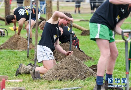 男子汉游戏视频,男子汉游戏比赛