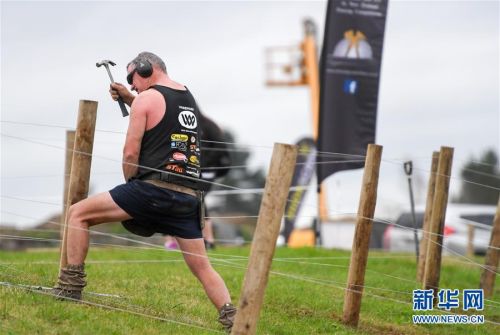 男子汉游戏视频,男子汉游戏比赛