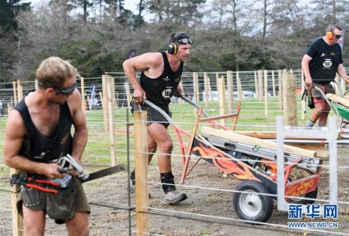 男子汉游戏视频,男子汉游戏比赛