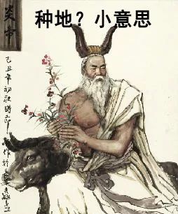 海水稻是什么农业,什么是海水稻的重要特征