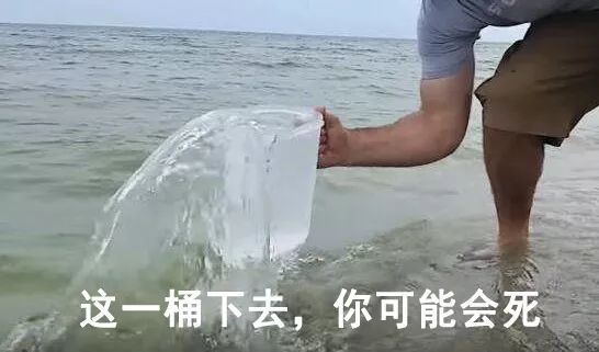 海水稻是什么农业,什么是海水稻的重要特征