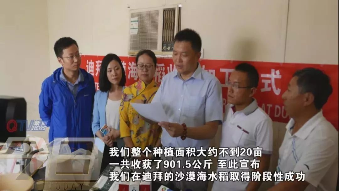 海水稻是什么农业,什么是海水稻的重要特征