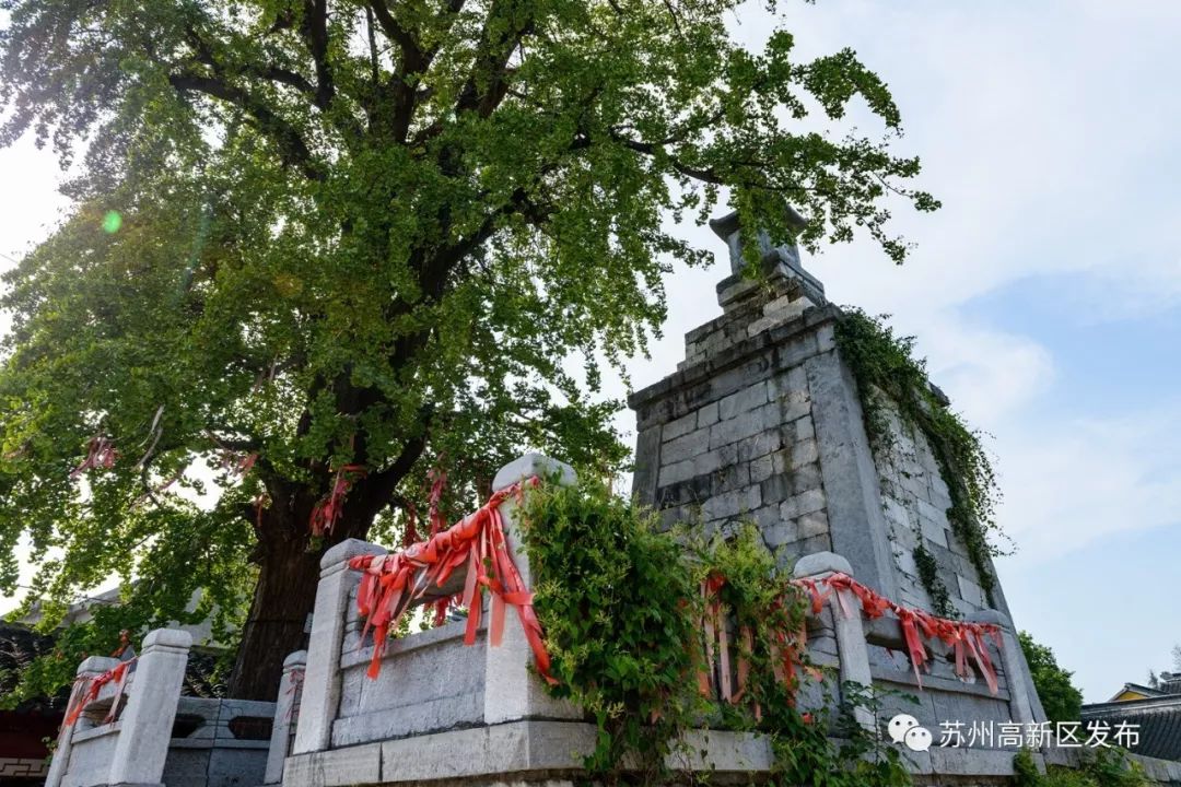 请回答2017,请回答2020总结