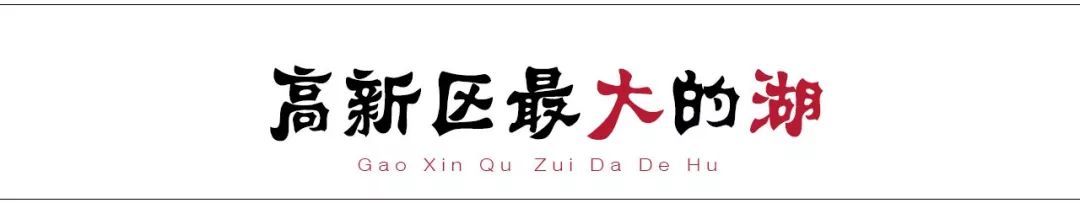 请回答2017,请回答2020总结