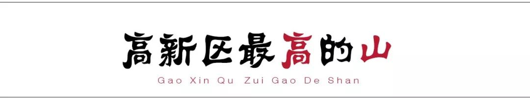 请回答2017,请回答2020总结