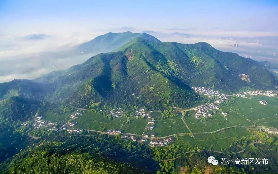 请回答2017,请回答2020总结