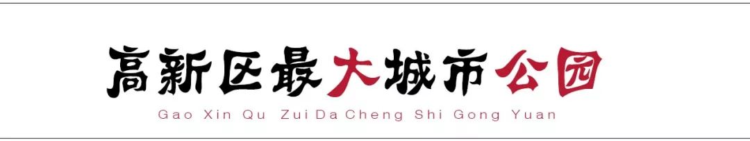 请回答2017,请回答2020总结