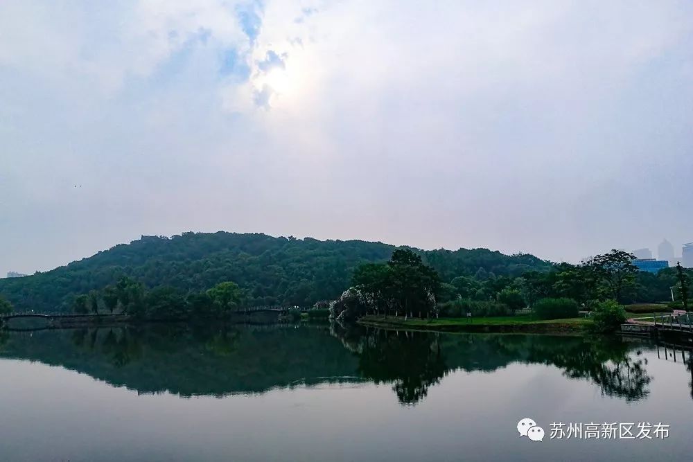 请回答2017,请回答2020总结