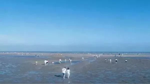 毕业季赶海,毕业季福利专场