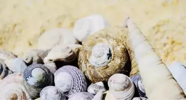 毕业季赶海,毕业季福利专场