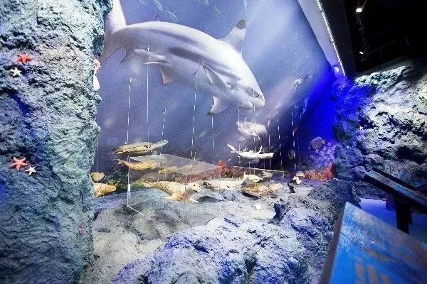 毕业季赶海,毕业季福利专场