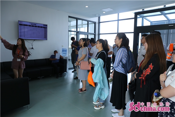 玲珑集团2020,玲珑集团旗下产业有哪些