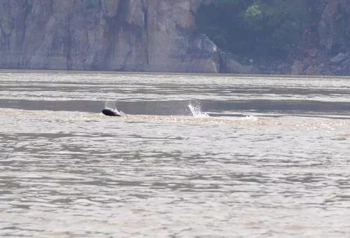 航拍中国自然地理安徽,安徽自然风景航拍