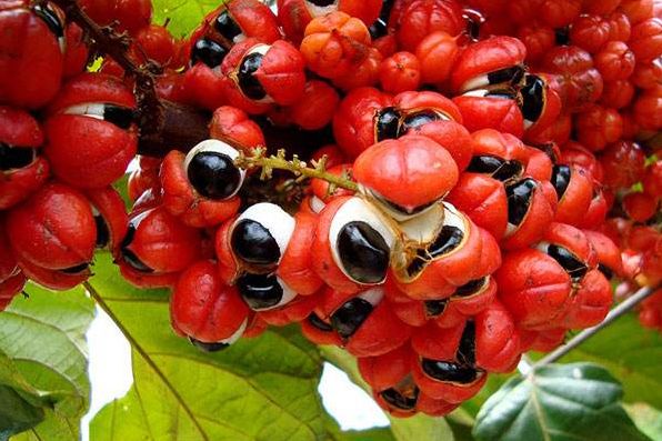 模特减肥一星期瘦二十斤,快速瘦肚子瘦腰懒人瘦身霜女