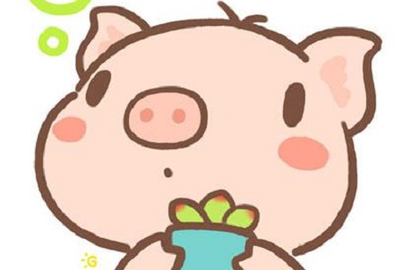 1983年属猪人2019年运势,1983年猪女2019年运势