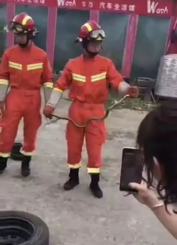 吓人！汽车仪表盘上惊现蛇皮？原来是有条真蛇在“蹭车”