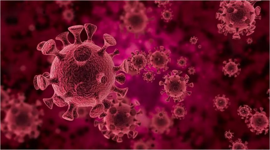 关于HPV病毒,这些知识你该看一看啦