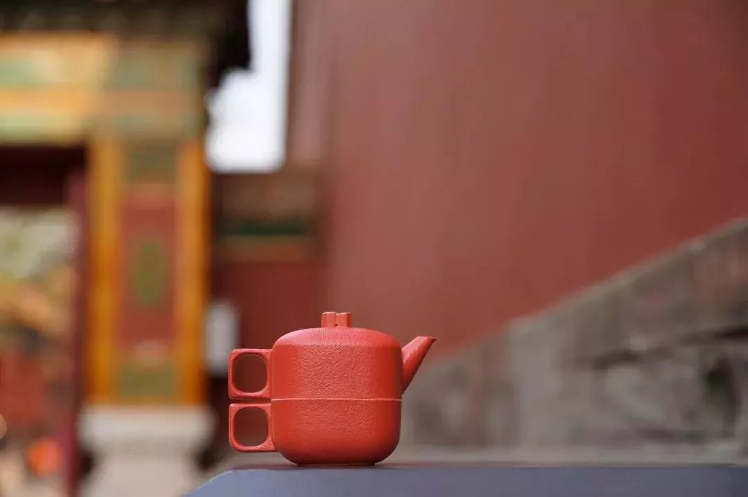 好物|闯入一片「圣诞森林」,治愈你的漫长冬季