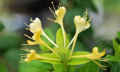 什么病听起来很吓人但治愈率很高,有哪些病听起来很吓人却又不严重