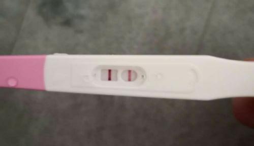 分享备孕心得：萝卜排卵半定量排卵试纸测量更准确