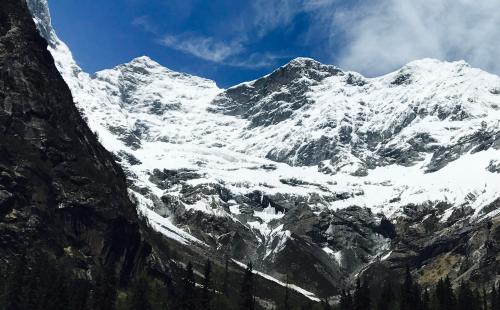 属猪的射手座男2019运势,属猪射手座和属龙射手座