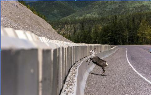 教您十大安全驾驶技巧,安全驾驶100个技巧