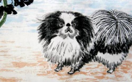 70年属狗男2023年运势及运程,1970年属狗人2023年运势及运程男