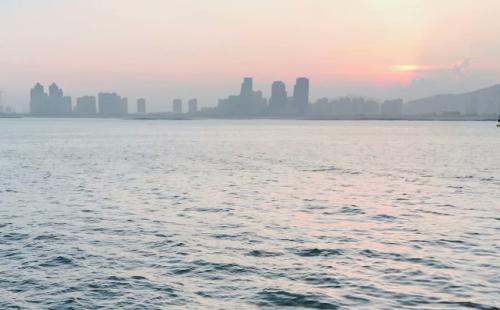 5月29日出生的女孩属猪,属猪5月出生取名大全