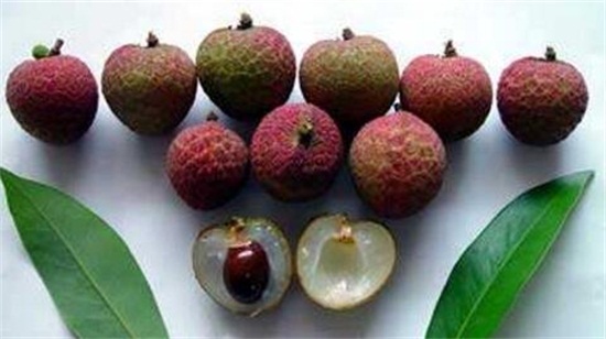 荔枝品种大全及图片,水培荔枝是什么品种的荔枝