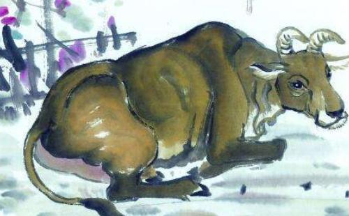 1985年属牛男2023年运势及运程,1985年出生的属牛人2019年运势