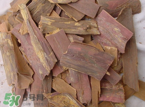 红豆杉皮多少一公斤,红豆杉叶多少一克