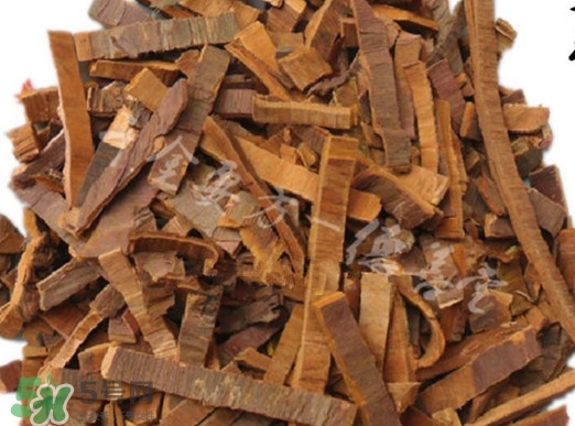 红豆杉皮多少一公斤,红豆杉叶多少一克