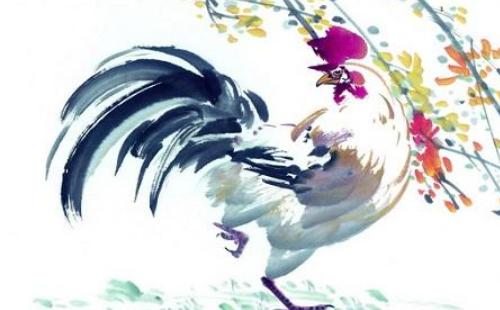 男命1993年属鸡的人2019年运程,男命1993年生肖鸡2019年运势详解