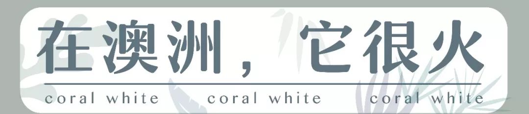 婢虫床妫灄椁愬巺,brunch缃戠孩椁愬巺